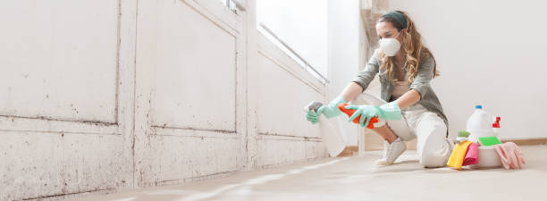 Best Black Mold Removal  in West Samoset, FL